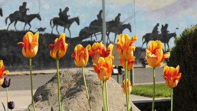 Spring Mural